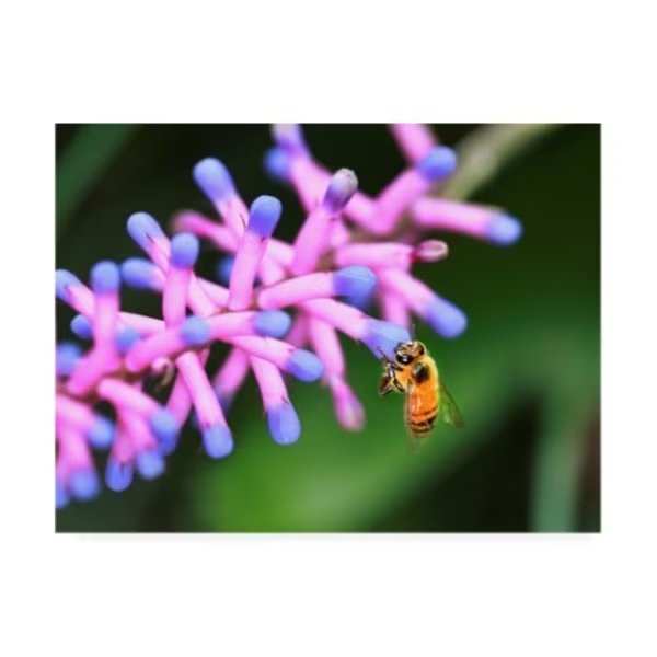 Dana Brett Munich 'Mine Photography' Canvas Art, 14x19, Trademark Fine Art, Mfr#: ALI46437-C1419GG